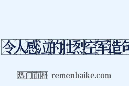 令人感泣的壮烈空军造句是什么意思的图片